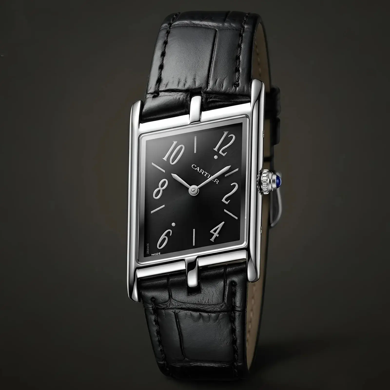 Cartier Leather Silver Black (CTL7)